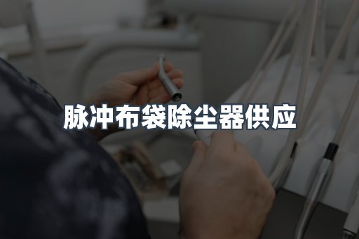 脉冲布袋除尘器